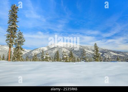 ovando Berg über einer schneebedeckten Wiese in der Nähe von ovando, montana Stockfoto