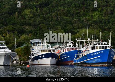 Chaguaramas, Trinidad und Tobago - 28. Dezember 2024 - Boote und andere Seeschiffe legten an der Marina des Crew Inn an. Stockfoto