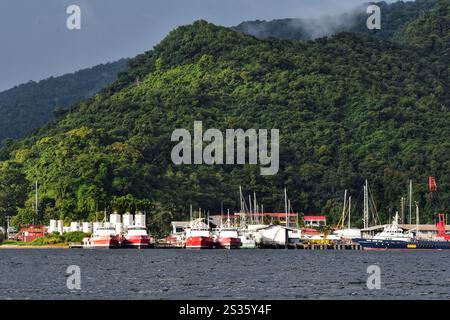 Chaguaramas, Trinidad und Tobago - 28. Dezember 2024 - Boote und andere Seeschiffe legen an der Marina des Crews Inn an. Stockfoto