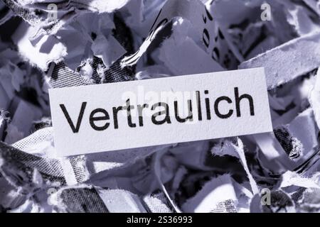 Papier schreddert mit dem Schlüsselwort vertraulich, symbolisches Foto für die Datenvernichtung und Vertraulichkeit Stockfoto