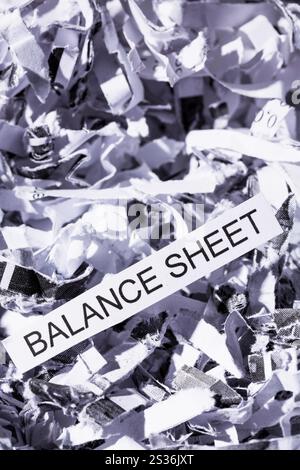 Papier schreddert mit dem Stichwort Bilanz, symbolisches Foto für Datenvernichtung, Bilanzen und Buchhaltung Stockfoto