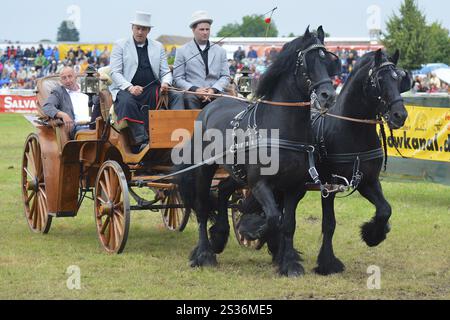 Titanen der Rennbahn in Brueck, Brandenburg Stockfoto