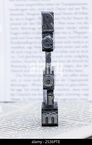 Das Wort Reform steht in Leitbuchstaben. Symbolisches Foto für schnelle Korrespondenz Österreich Stockfoto