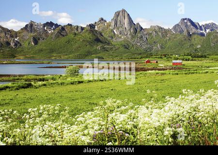 Frühlingslandschaft auf Lofoten bei Sortland, Frühlingsblick auf die Lofoten-Inseln bei Sortland Stockfoto
