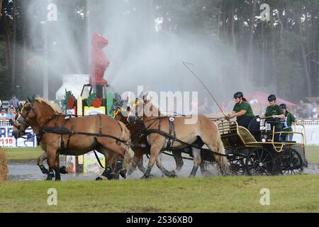 Titanen der Rennbahn in Brueck, Brandenburg Stockfoto