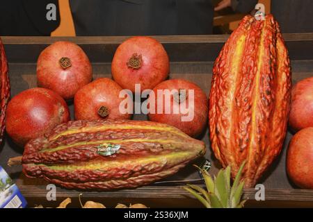 Leitmesse für den internationalen Obsthandel Fruit Logistica mit Granatapfel und Kakaobohnen Stockfoto