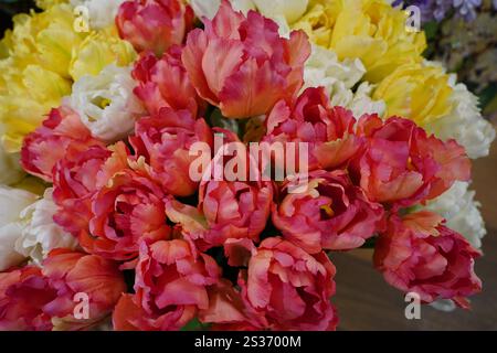 Tulpenstrauß in verschiedenen Rosa- und Gelbtönen Stockfoto