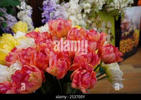 Tulpenstrauß in verschiedenen Rosa- und Gelbtönen Stockfoto
