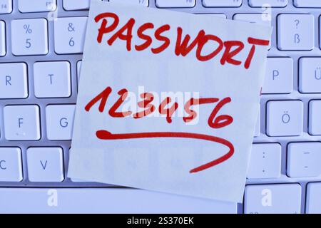 Zur Erinnerung befindet sich auf der Tastatur eines Computers ein Hinweis: Passwort 123456 Österreich Stockfoto