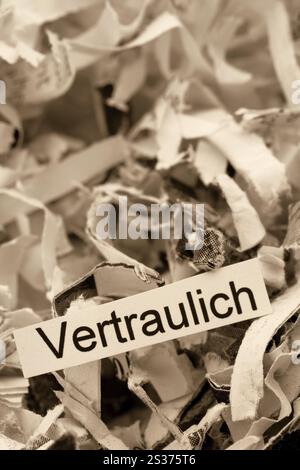 Papier schreddert mit dem Schlüsselwort vertraulich, symbolisches Foto für die Datenvernichtung und Vertraulichkeit Stockfoto
