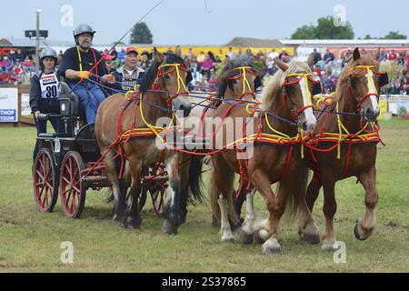 Titanen der Rennbahn in Brueck, Brandenburg Stockfoto