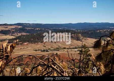 Aus der Vogelperspektive vom Tower Trail am Devil's Tower aus gesehen an einem Sommertag in Wyoming. Stockfoto