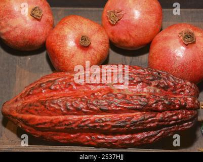 Leitmesse für den internationalen Obsthandel Fruit Logistica mit Granatapfel und Kakaobohnen Stockfoto