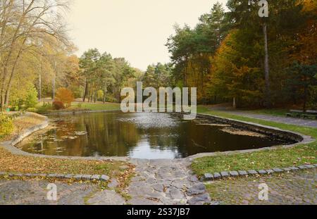 Wunderschöne Natur Herbstlandschaft mit See. Blick auf den Herbst-Stadtpark mit goldgelbem Laub an bewölktem Tag. Wanderwege im Stadtpark Stockfoto