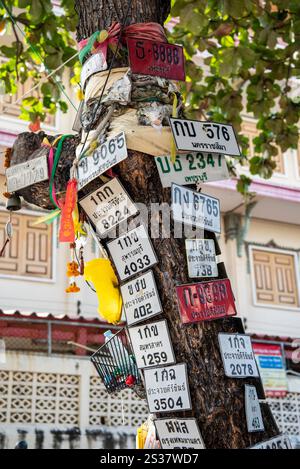 Motorradkennzeichen auf einem Baum in der Stadt Hua hin in der Provinz Prachuap Khiri Khan in Thailand, Thailand, Hua hin, Dezember 2023. Stockfoto