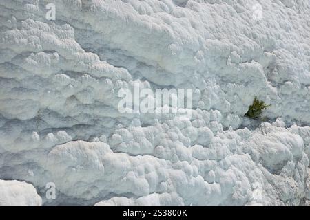 Textur der berühmten blauen Travertin-Pools und Terrassen von Pamukkale. Einzigartiges weißes Material für den truthahn. Textur des berühmten blauen Travertins von Pamukkale Stockfoto