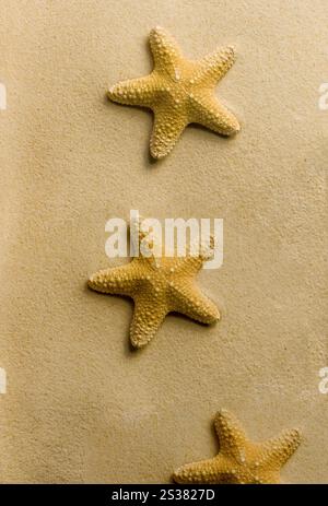 Ein Meer Sterne am Strand. Meeressterne am Strand Stockfoto