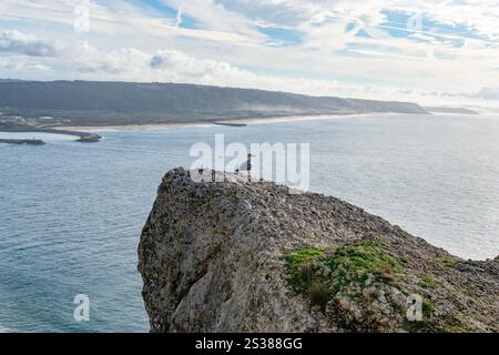 Die Stadt Nazare in Portugal, das Symbol des Surfens. Küste und Blick von oben auf die Stadt. Touristenort mit großen Wellen. Querformat. Stockfoto