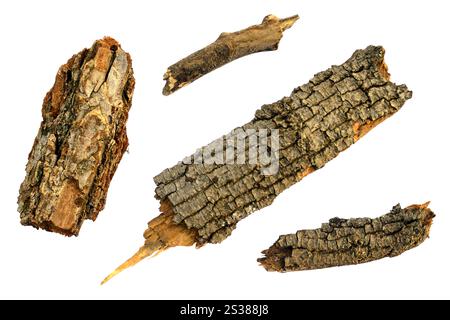 Alte Teile Herbstzweige Zweige und Rindenholzbaum isoliert auf weißem Naturfoto. Alte Teile Herbstzweige Zweige und Rindenholzbaum isoliert auf Stockfoto