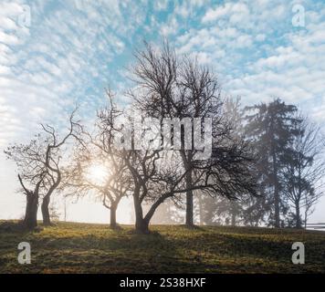 Neblige Herbstlandschaft mit Sonnenaufgang am Berg. Ruhige, malerische Reise, saisonale, Natur- und landschaftliche Beauty-Konzeptszene. Stockfoto