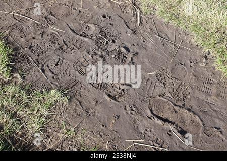 Fußspur auf dem Dschungelpfad. Schuhdrucke auf nassem Kies oder Schlamm in Berggebieten im Freien. Fußspur auf dem Dschungelpfad. Schuhdrucke auf nassem Kies Stockfoto