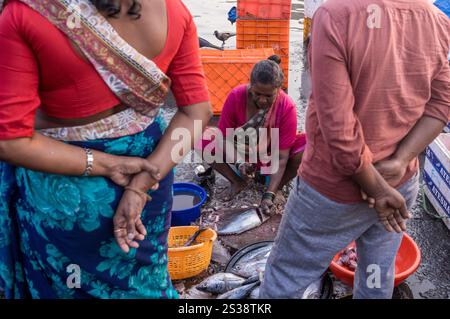 Fischverkäufer bereiten frischen Fang zu, während Kunden den historischen Fischmarkt von Sassoon Docks in Mumbai, Indien, beobachten. Stockfoto