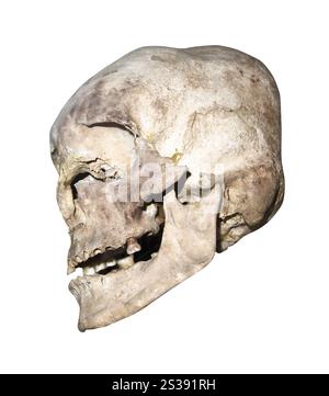 Alter menschlicher Schädel isoliert auf weißem Hintergrund. Der alte menschliche Schädel Stockfoto