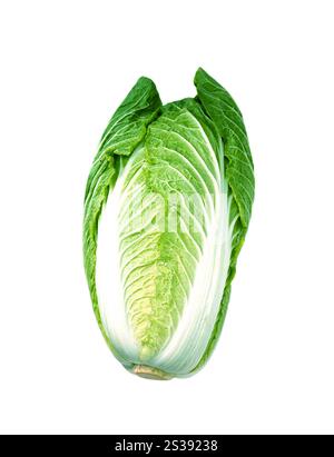 Kohl, isoliert auf weißem Hintergrund Stockfoto