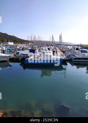 Verschiedene Boote sind am Yachthafen festgebunden und ruhen in den ruhigen Gewässern aus, während sie auf ihre nächste Reise warten. Stockfoto