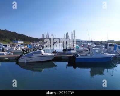 Verschiedene Boote sind am Yachthafen festgebunden und ruhen in den ruhigen Gewässern aus, während sie auf ihre nächste Reise warten. Stockfoto