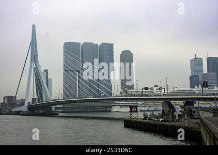 Rotterdam Erasmusbridge Stockfoto