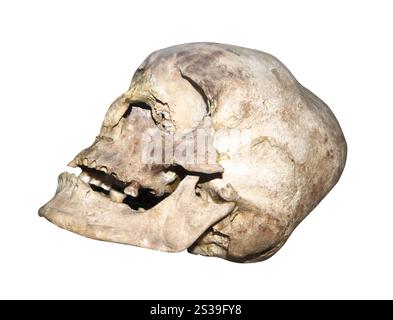Alter menschlicher Schädel isoliert auf weißem Hintergrund. Der alte menschliche Schädel Stockfoto