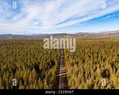 Straße in gerader Linie durch die Wälder von Oregon, Luftaufnahme, Spätherbst Stockfoto