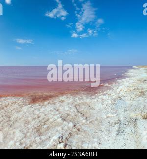 Rosa extrem salzig Syvash See, gefärbt durch Mikroalgen mit kristallinen Salz depositionen. Auch als die fauligen Meer oder faulen Meer bekannt. Ukraine, Stockfoto