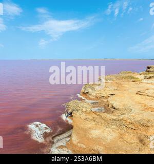 Rosa extrem salziger Syvash Lake, gefärbt von Mikroalgen. Auch bekannt als das faulige Meer oder das faule Meer. Ukraine, Region Cherson, bei Krim und Arabat Stockfoto