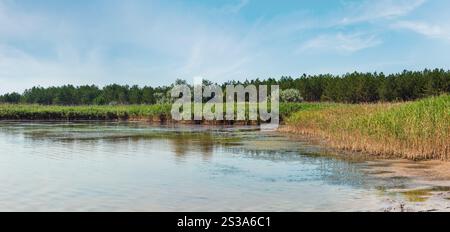 Sommer Pryschukove dunkel braun-rote Jod See mit einer therapeutischen Wirkung durch den hohen Gehalt an Jod (Kherson, Ukraine). Stockfoto