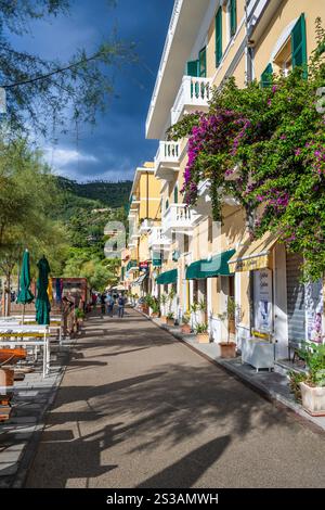 Farbenfrohe Gebäude an der von Bäumen gesäumten Via Fegina in Monterosso al Mare im Nationalpark Cinque Terre in der Region Ligurien im Nordwesten Italiens Stockfoto