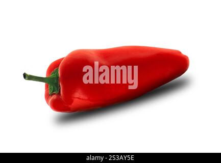 Roter Papper isoliert auf weißem Hintergrund. Roter Papper Stockfoto