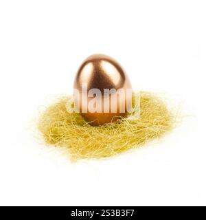goldenes Ei im Nest isoliert auf weißem Hintergrund. goldenes Ei im Nest isoliert auf weiß Stockfoto