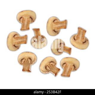 agaricus-Pilze isoliert auf weißem Hintergrund. agaricus-Pilze isoliert Stockfoto