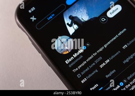 Nahaufnahme eines Smartphone-Bildschirms, auf dem Elon Musks verifiziertes X-App-Profil mit seinen Details und seinem Profilbild angezeigt wird Stockfoto