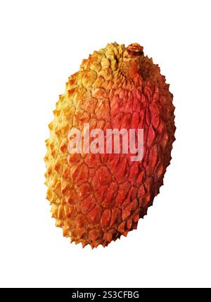 Durian, isoliert auf weiss Stockfoto