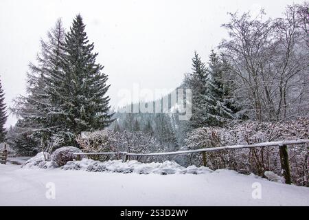 Blick auf die ruhige Winterlandschaft mit schneebedeckten Bäumen Stockfoto