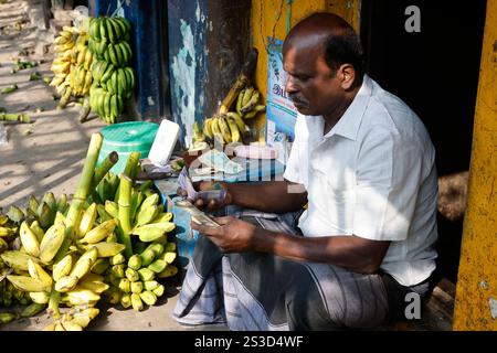 Der Verkäufer zählt seine Einnahmen auf dem Bananengroßmarkt in Madurai, Tamil Nadu, Indien Stockfoto