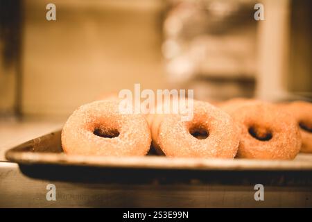 Frisch gebackene Bäckerei Orchard warme Apfelwein Donuts im Herbst Stockfoto