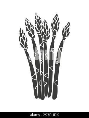 Spargel-Silhouette, stilisierte Skizze, isoliert auf weißem Hintergrund. Vektorabbildung Stock Vektor