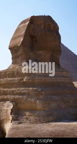 Die große Sphinx mit der Pyramide von Kheops dahinter, Gizeh, Kairo, Ägypten Stockfoto