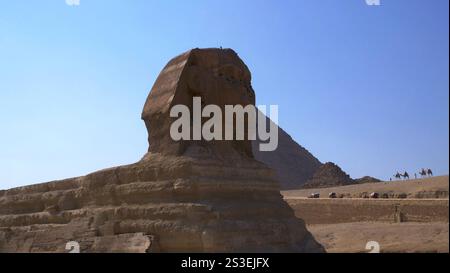 Die große Sphinx mit der Pyramide von Kheops dahinter, Gizeh, Kairo, Ägypten Stockfoto