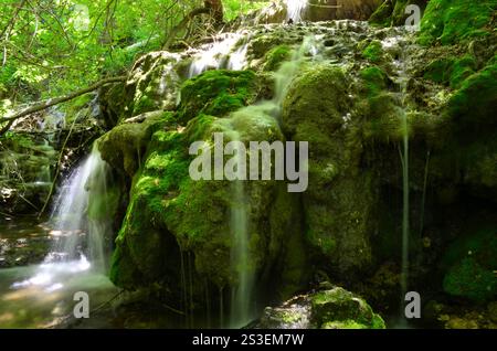Ruhiger Waldwasserfall, der über moosbedeckte Felsen stürzt, umgeben von üppigem Grün in den Sandia Mountains. Stockfoto