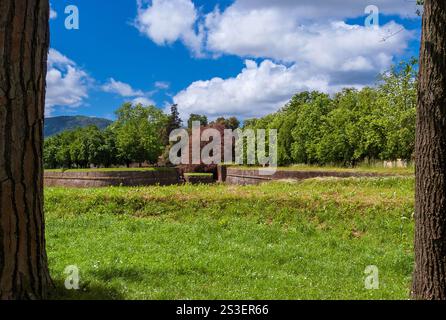 Grüne Stadt. Lucca schöne alte Mauern öffentlicher Park Stockfoto